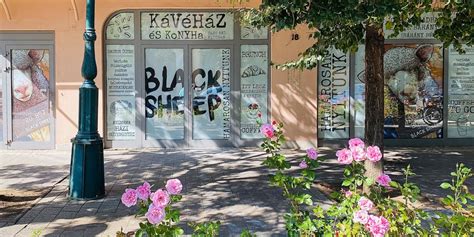 blacksheep gyula|Kávézó és konyha